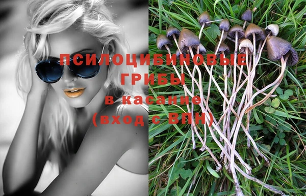 спайс Аркадак