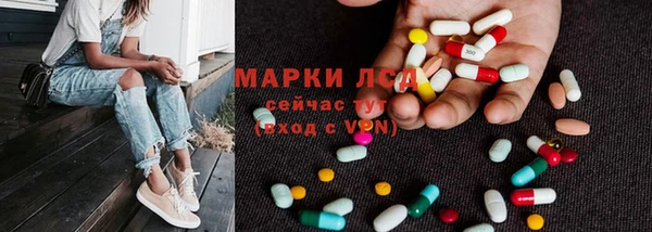 спайс Аркадак