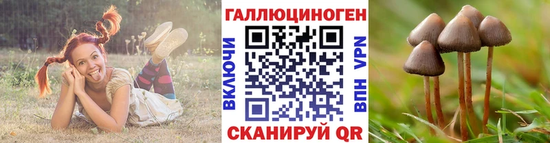 omg tor  Сухиничи  Псилоцибиновые грибы GOLDEN TEACHER 